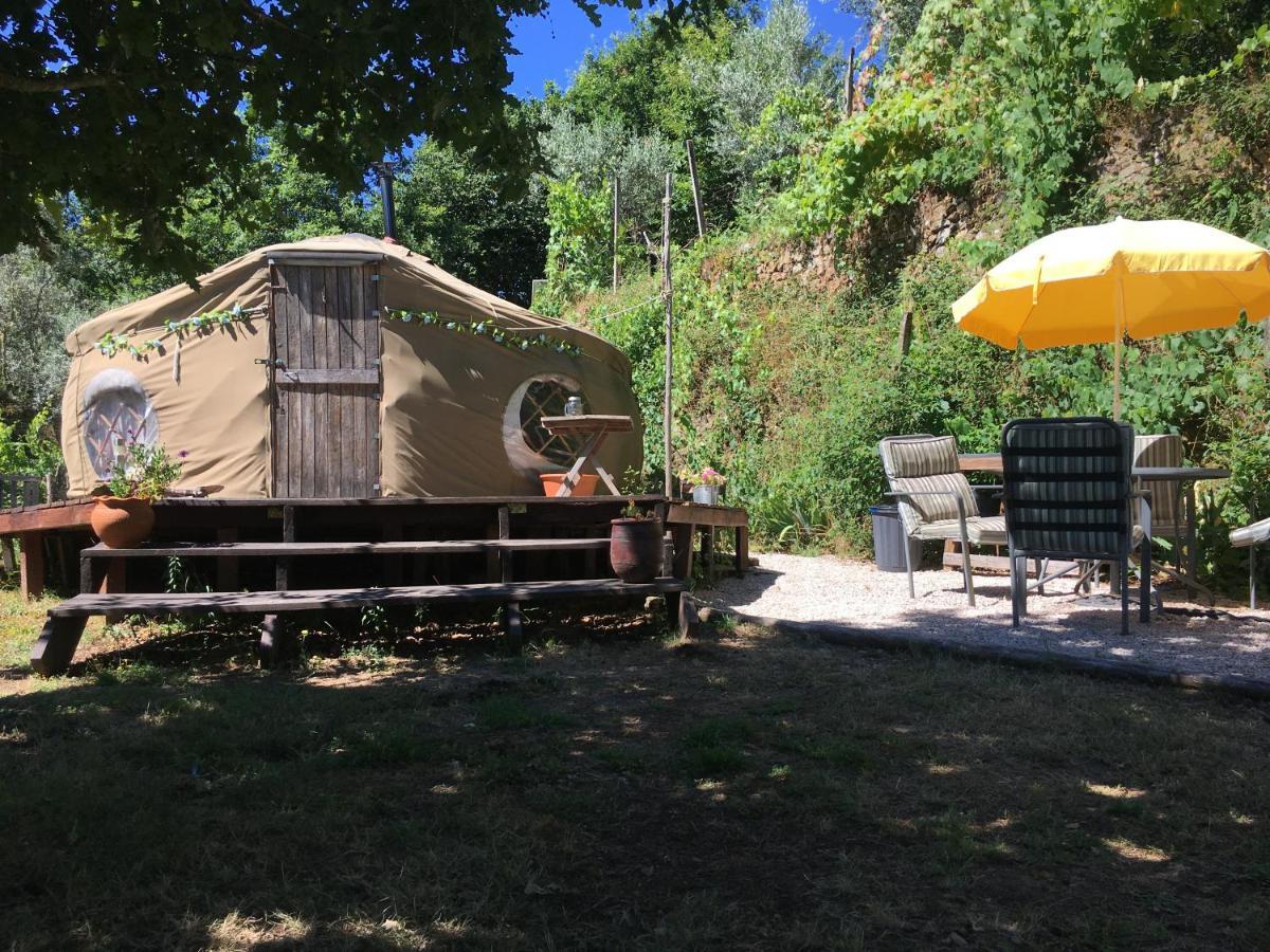 Star Gazing Luxury Yurt With River Views, Off Grid Eco Living Vale do Barco Exterior photo