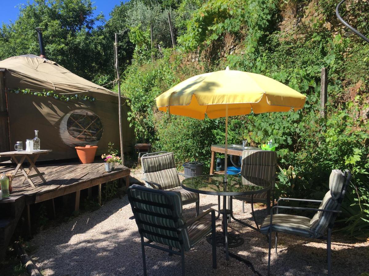 Star Gazing Luxury Yurt With River Views, Off Grid Eco Living Vale do Barco Exterior photo